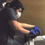 dental care